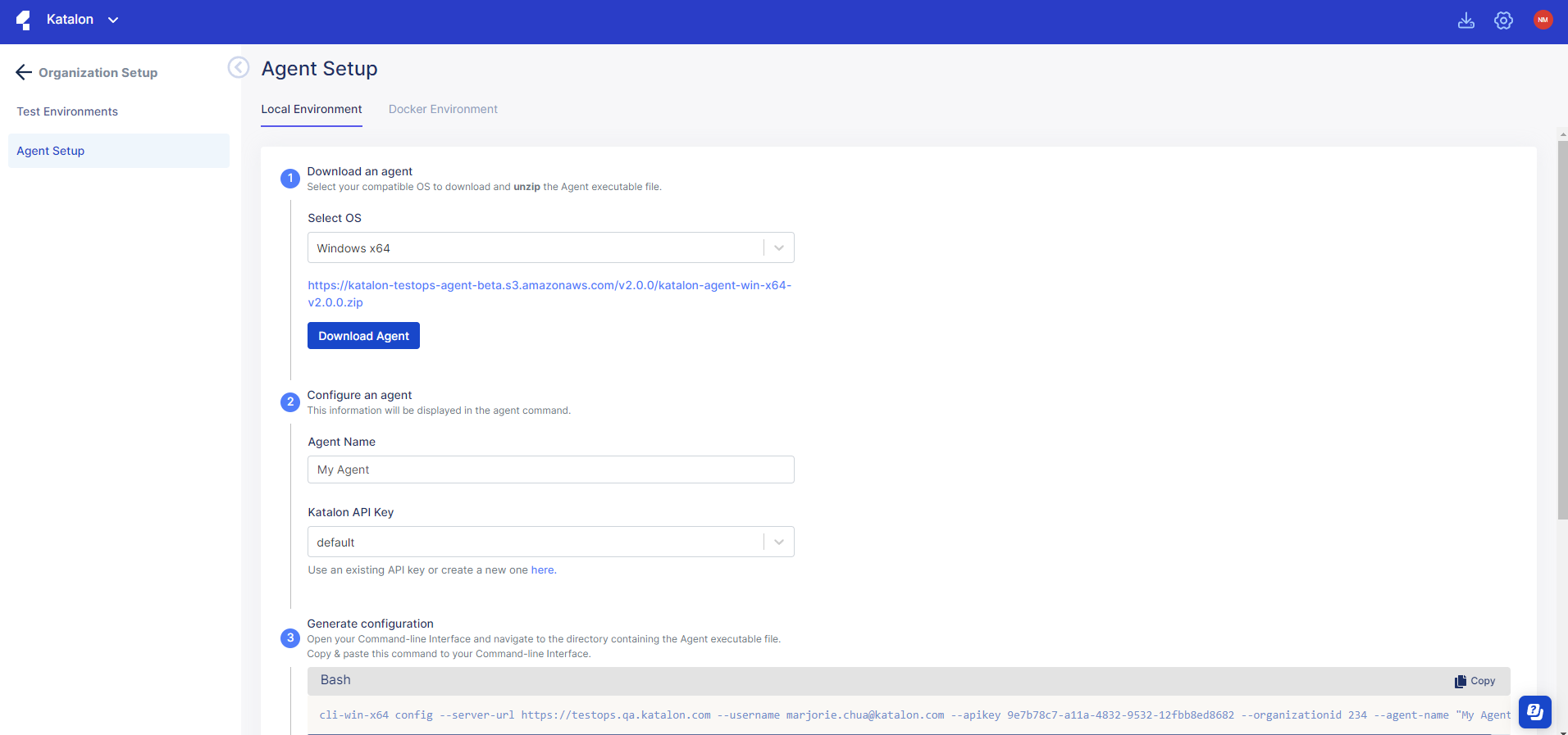 The Agent Setup page